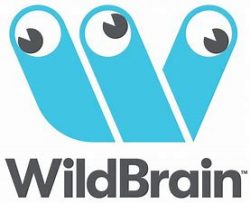 wild brain